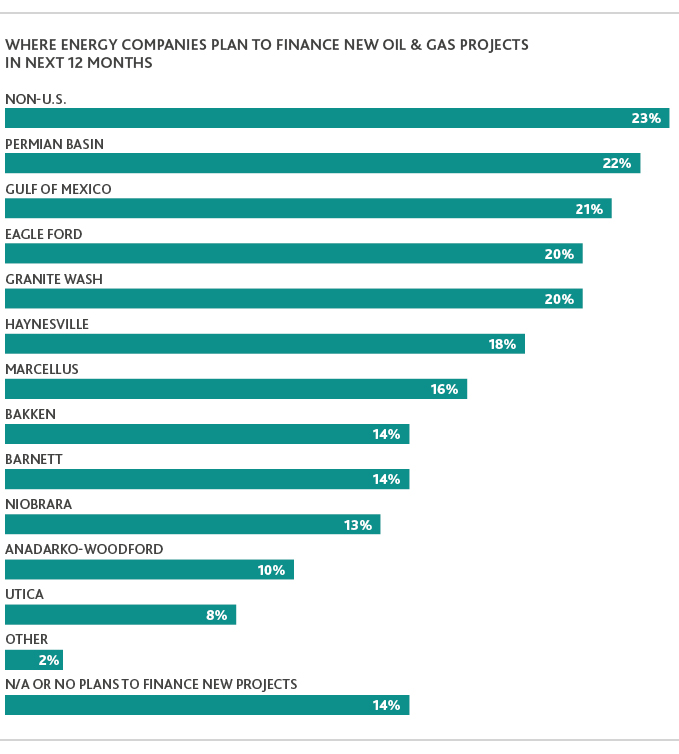 NR_CFO-Survey_Web-graphic11.jpg Chart depicting where energy companies plan to finance new oil and gas projects in next 12 months.