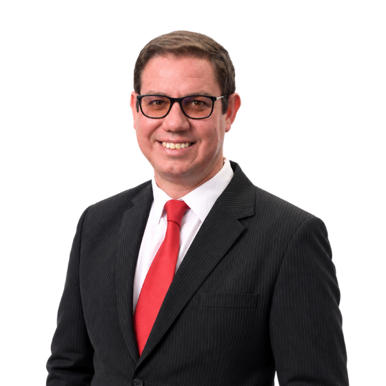 Jan van Staden