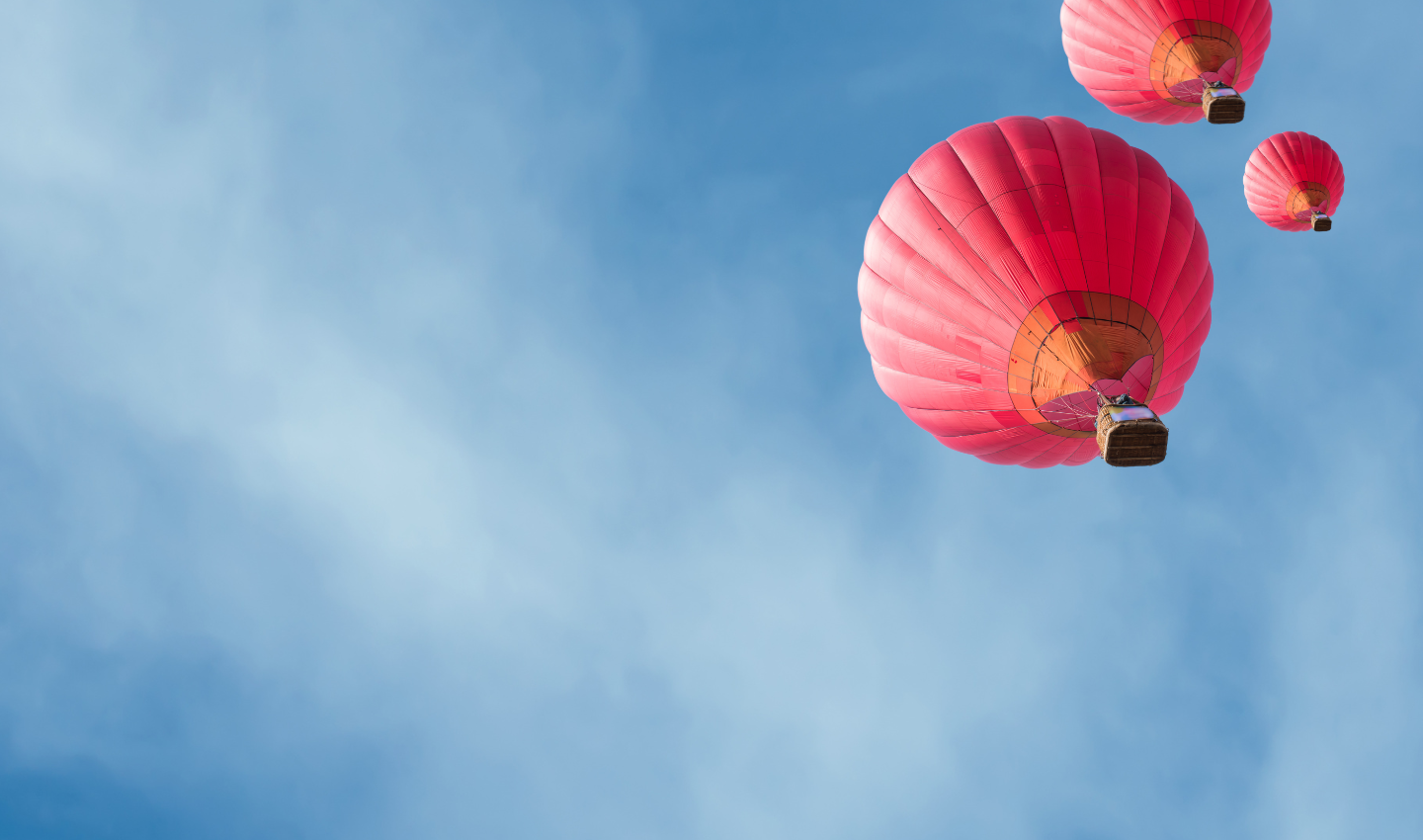 Annual Tax Update