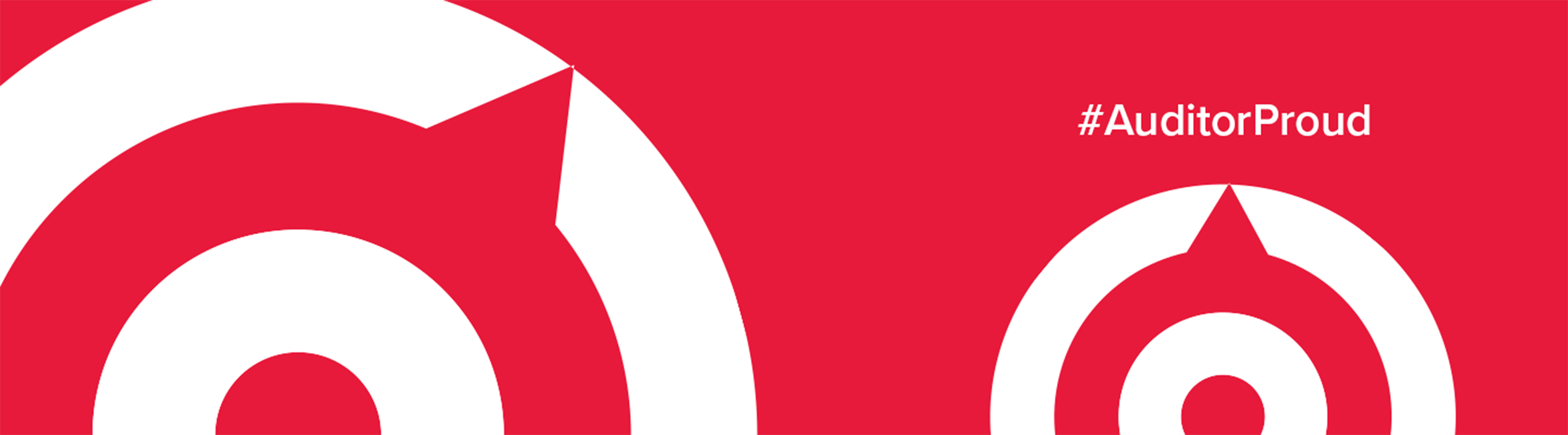 website banner - 1440x400 Auditor