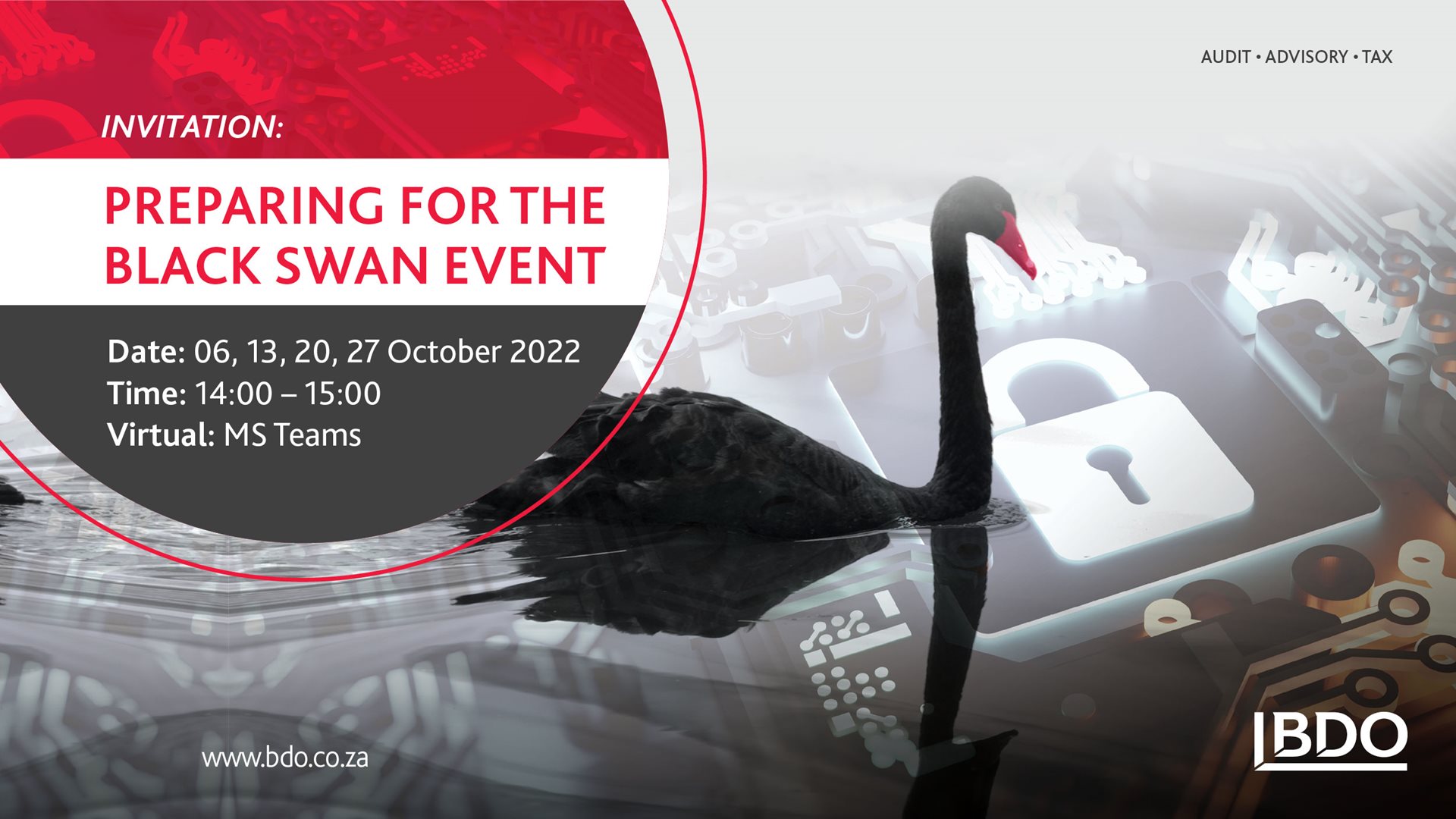 What Is A Black Swan Event 2024 Feb 2024 Calendar