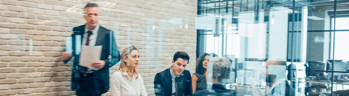 Audit & Assurance Services BDO