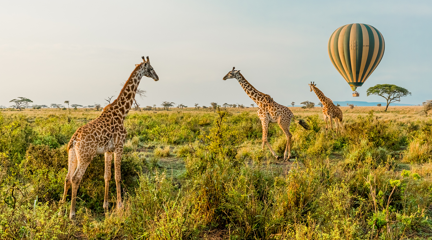 Tourism Trends 2026 Report